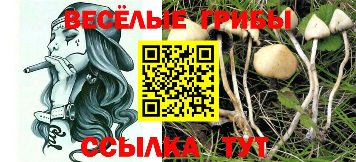 Галлюциногенные грибы Magic Shrooms Истра