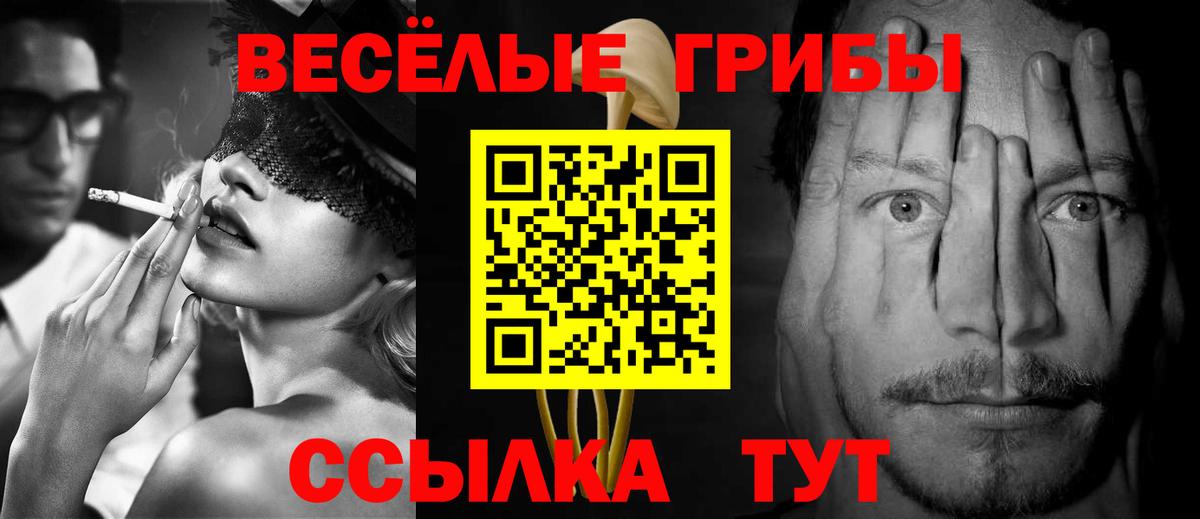 Истра  Галлюциногенные грибы Cubensis  Вход с VPN  Галлюциногенные грибы мухоморы 